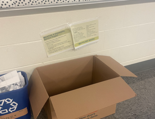 Recycling bins set up in schools